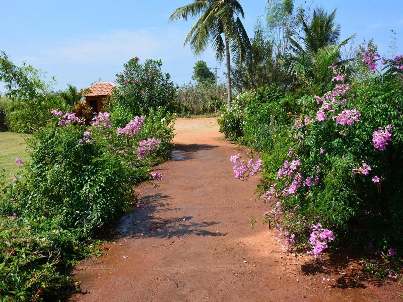 Red Earth Kabini