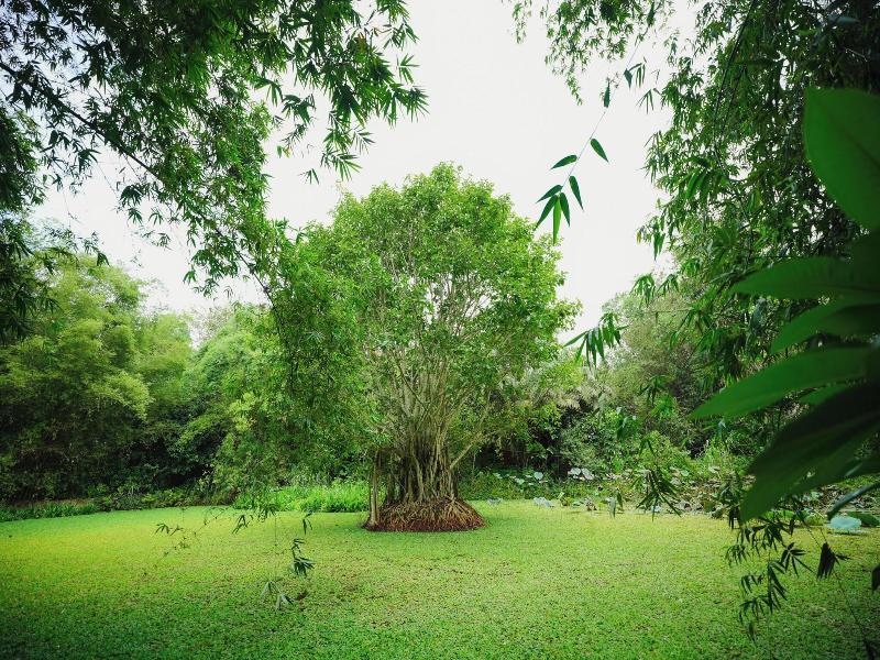 Red Earth Kabini