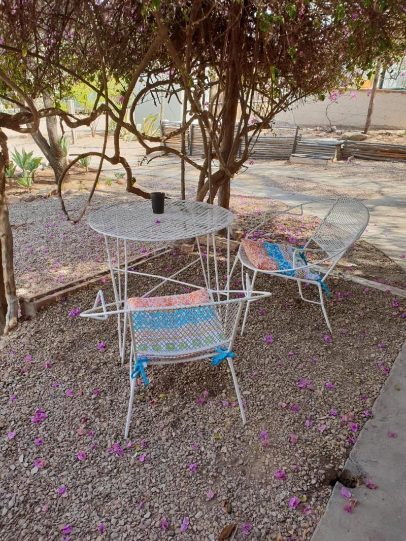 Oasis Shanti Backpackers — general view