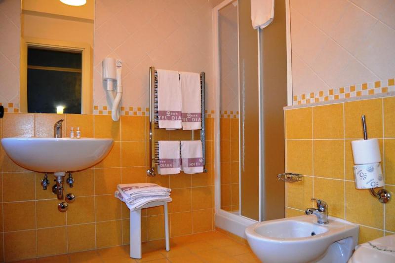 Diana Inn Accomodations image
