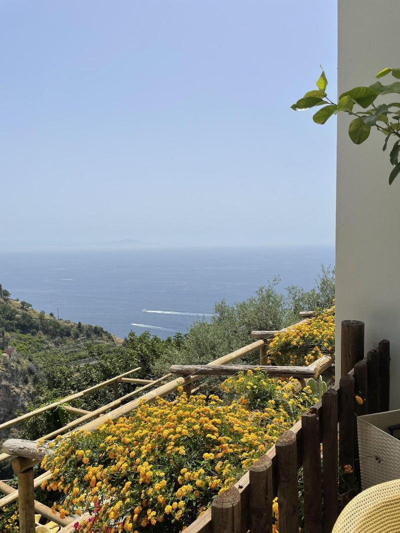 Holidays Fico d'India image