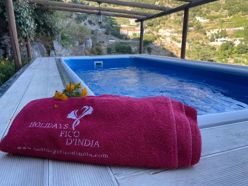 Holidays Fico d'India image