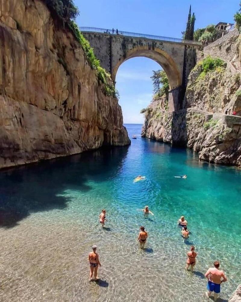Holidays Fico d'India image