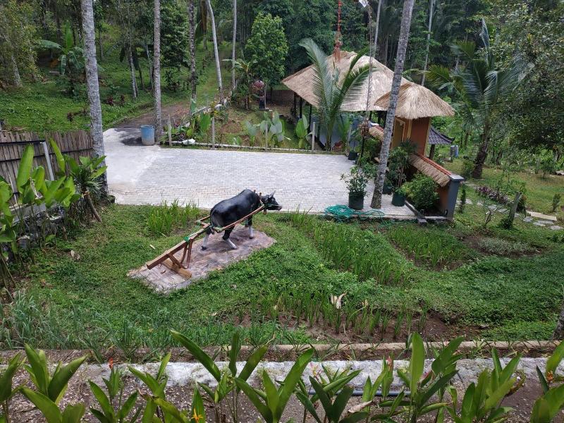 Bali Sesandan Garden image