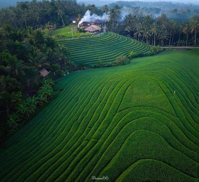 Bali Sesandan Garden image