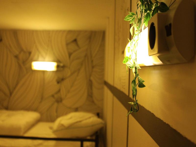 The Golden Stork - Hostel image