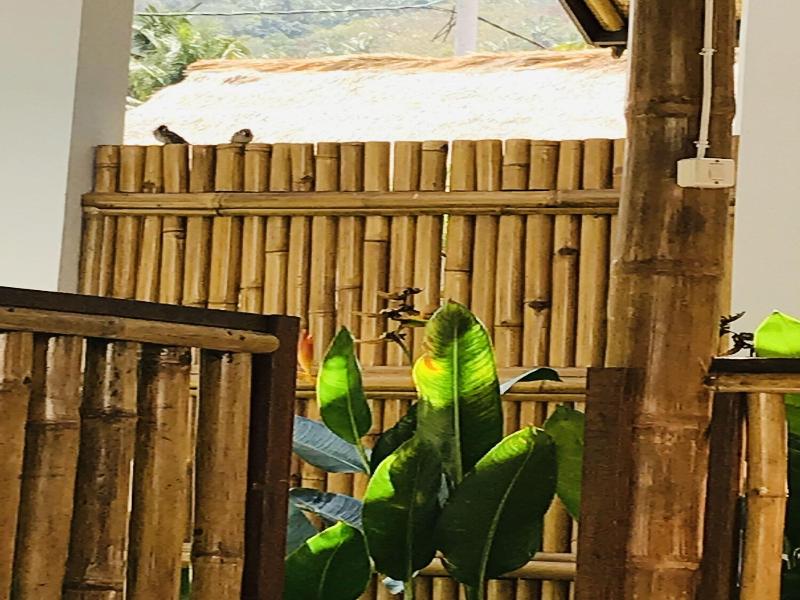 Cozy Cottages Lombok image