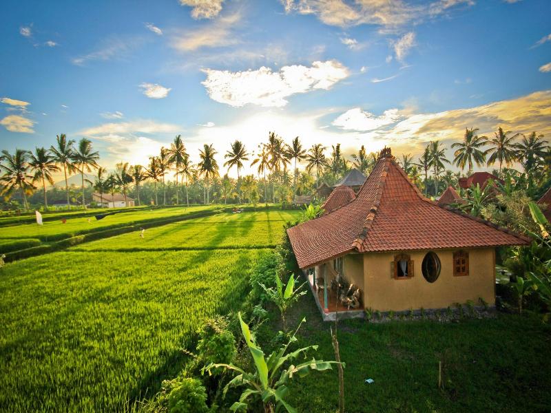 Dragonfly Village image