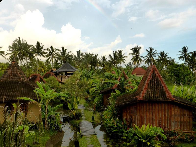 Dragonfly Village image