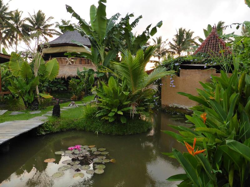 Dragonfly Village image