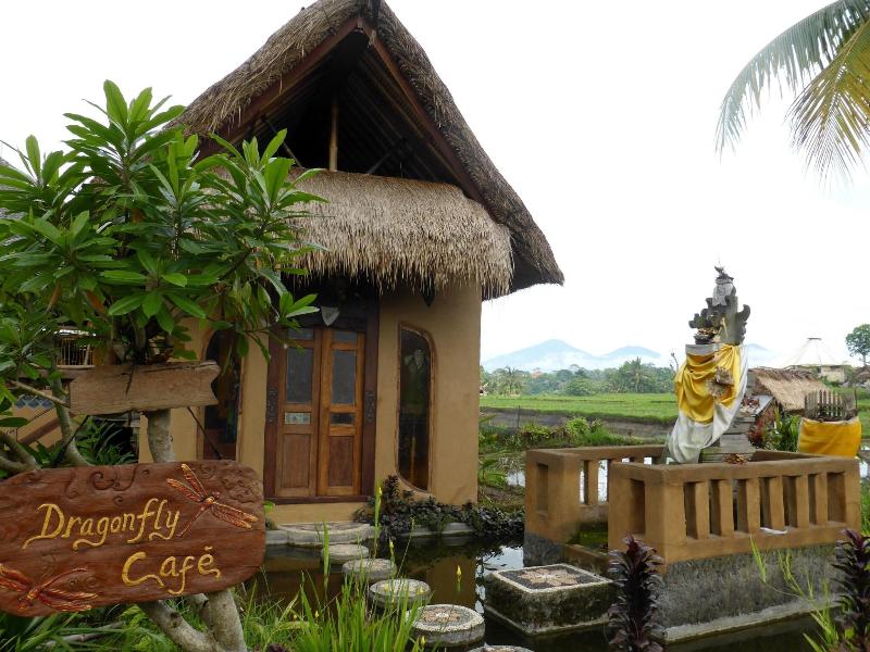 Dragonfly Village image