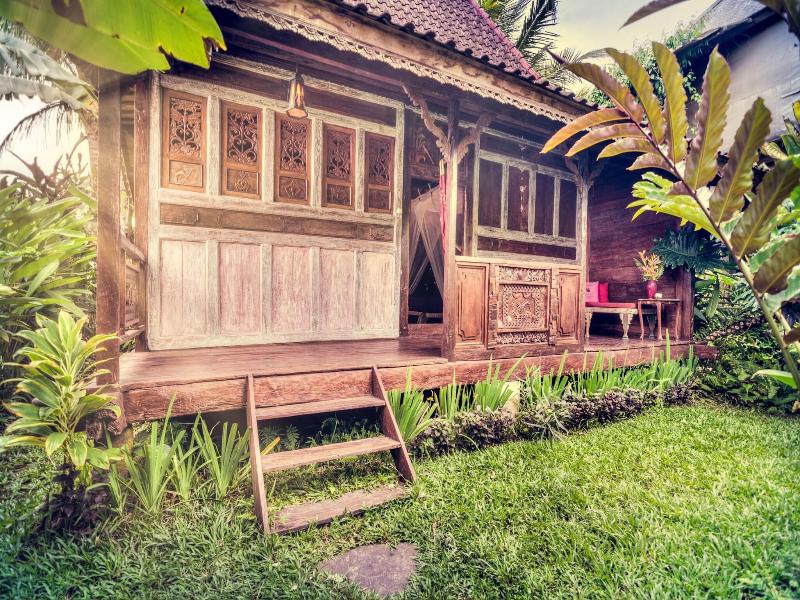 Dragonfly Village image