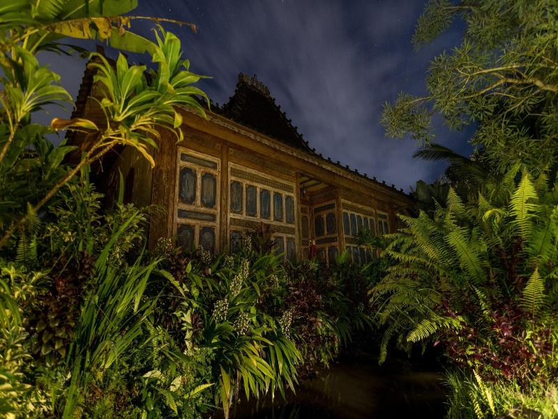 Dragonfly Village image
