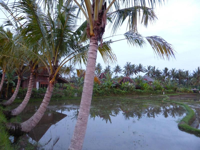 Dragonfly Village image