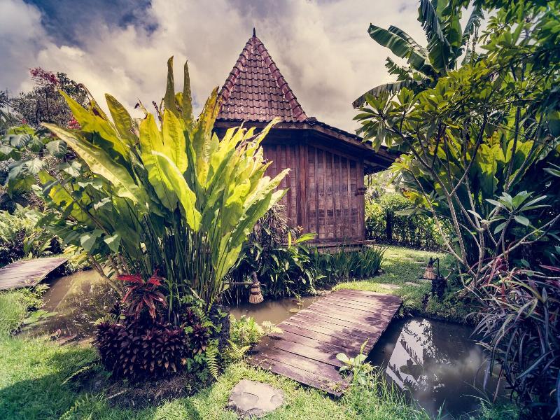 Dragonfly Village image