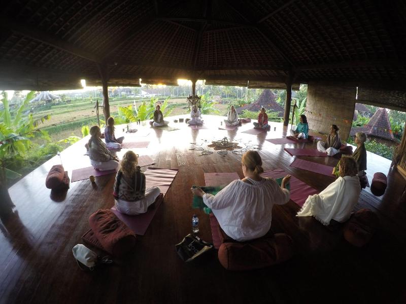 Dragonfly Village image