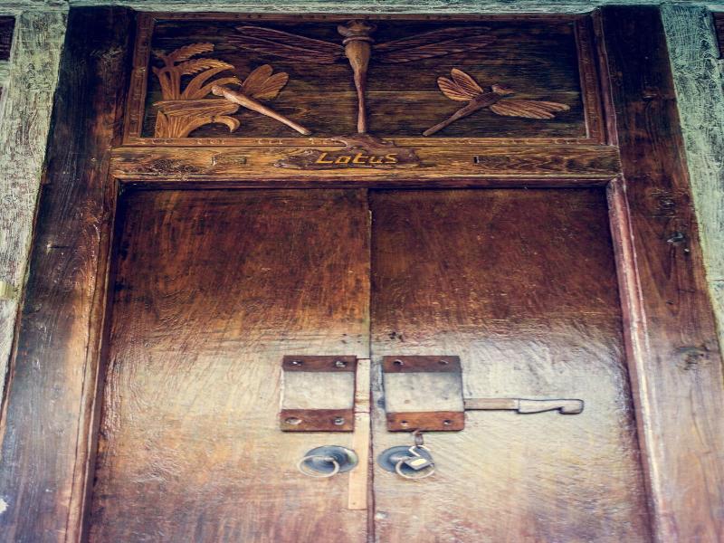 Dragonfly Village image