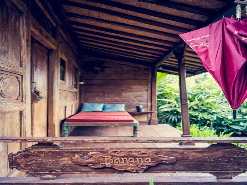 Dragonfly Village image