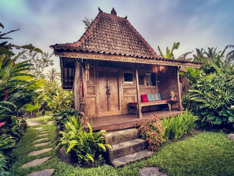 Dragonfly Village image