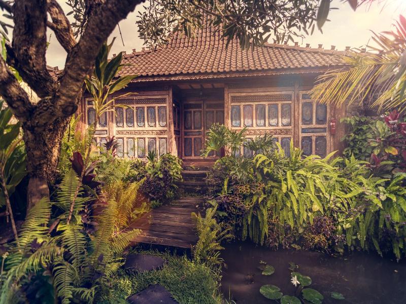 Dragonfly Village image