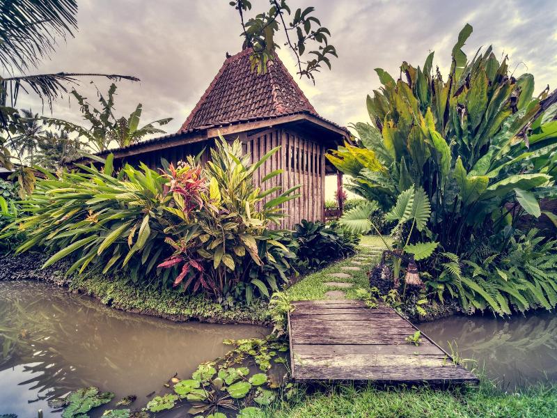 Dragonfly Village image