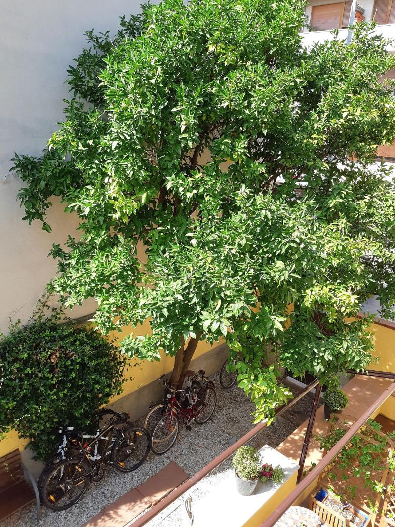 L'Aranceto Guest House image