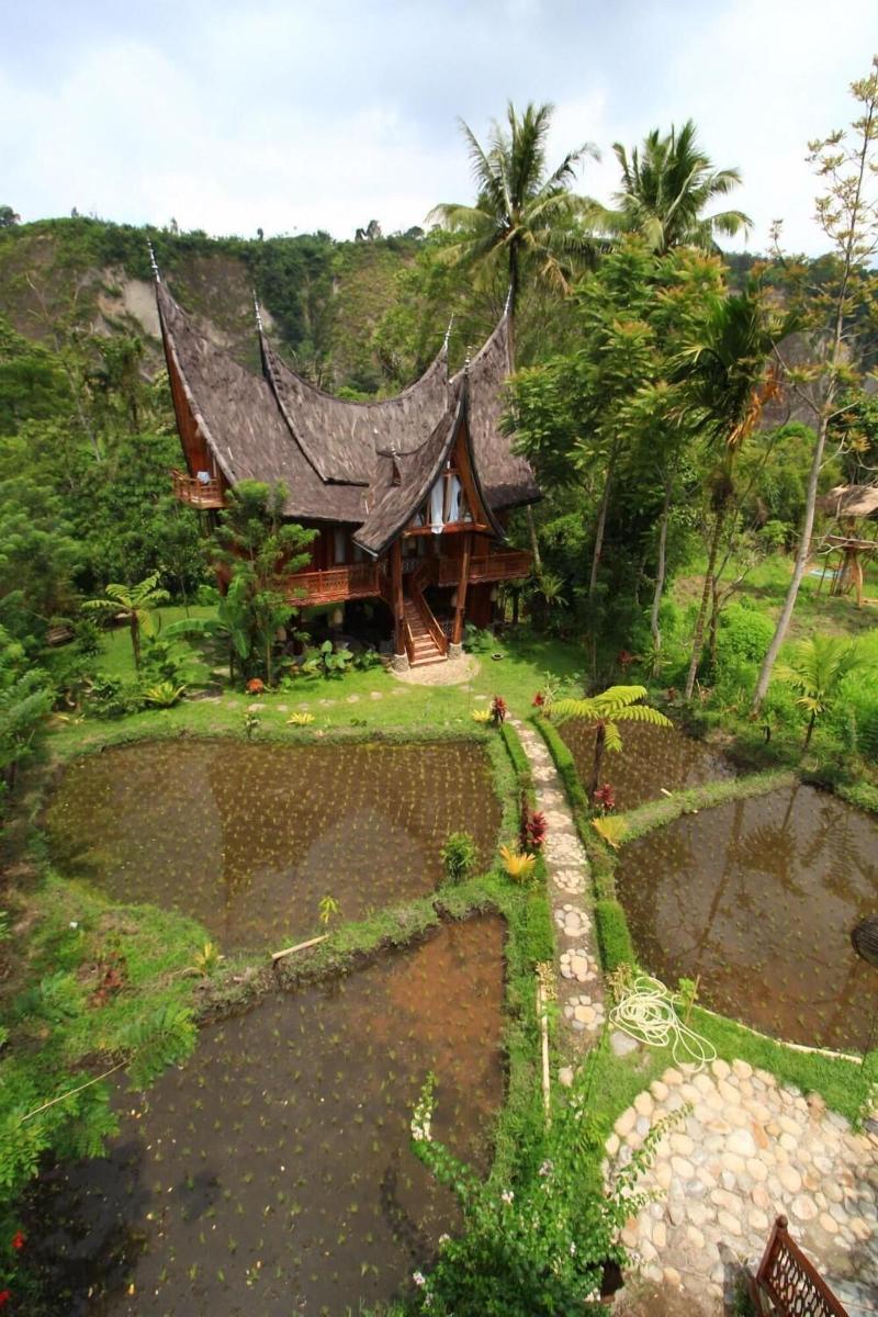 Padi Ecolodge image