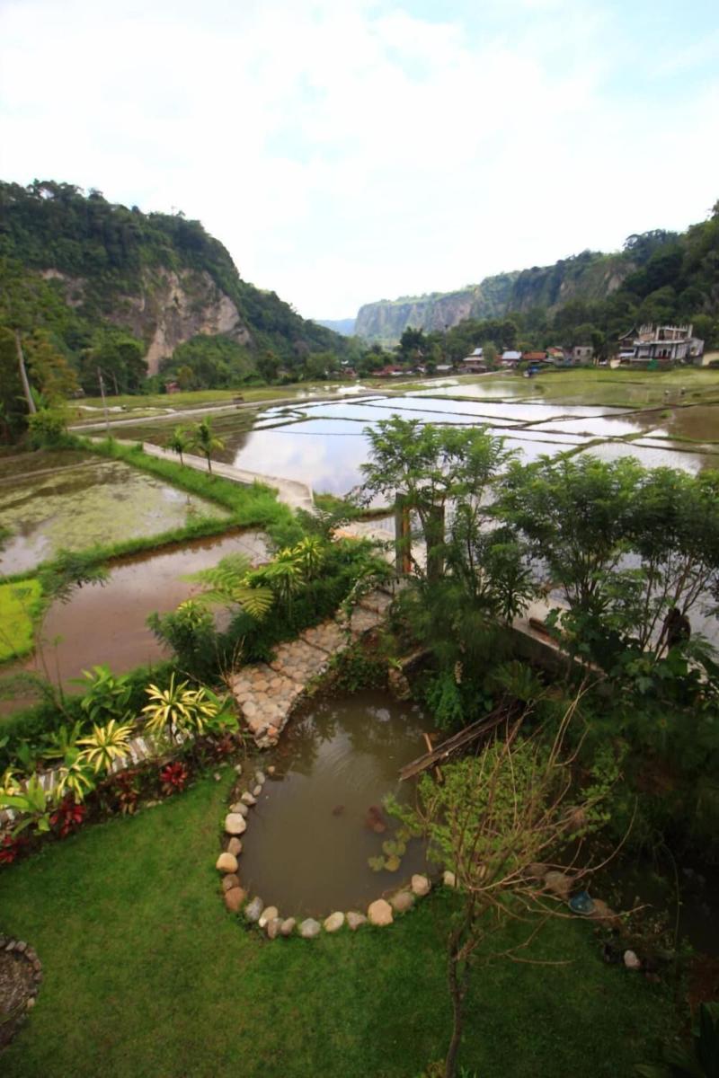 Padi Ecolodge image