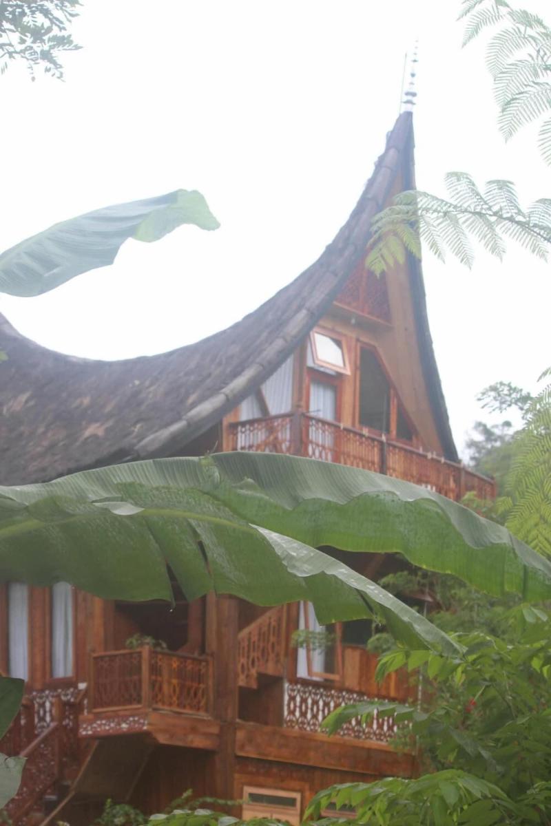 Padi Ecolodge image