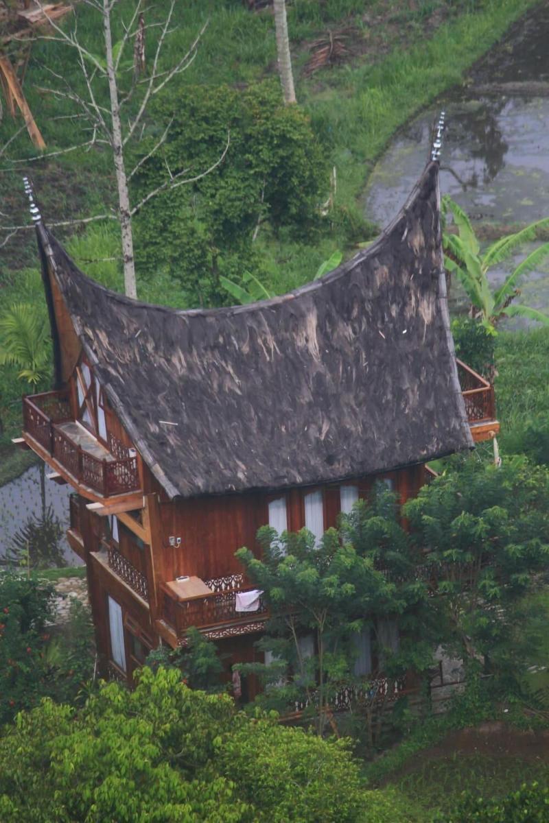 Padi Ecolodge image