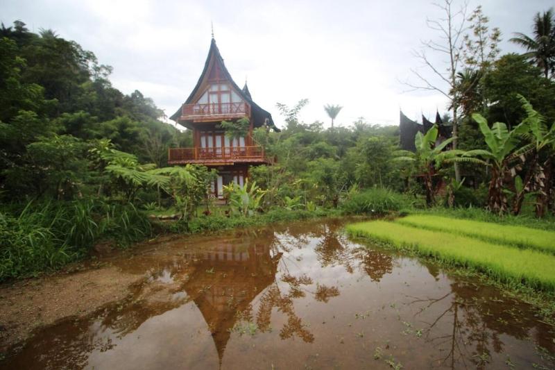Padi Ecolodge image