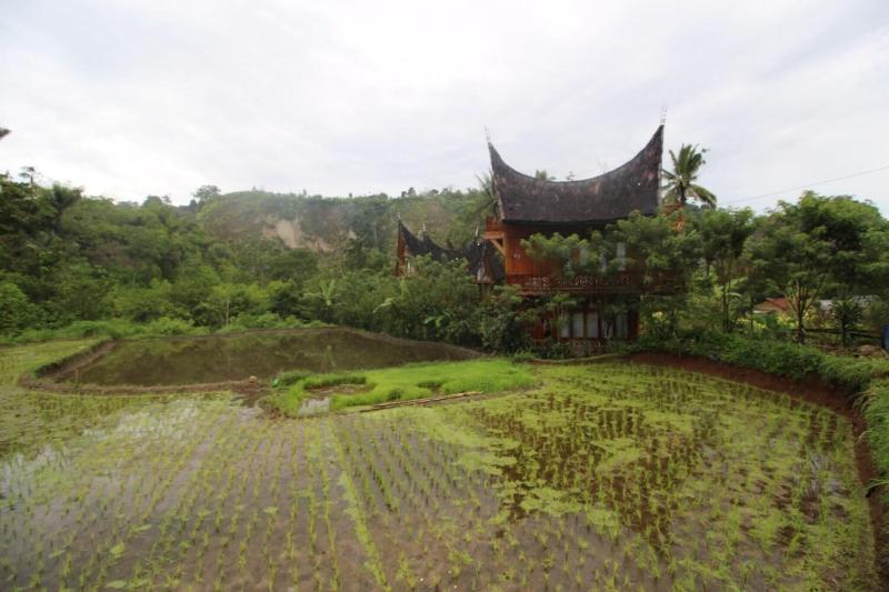 Padi Ecolodge image