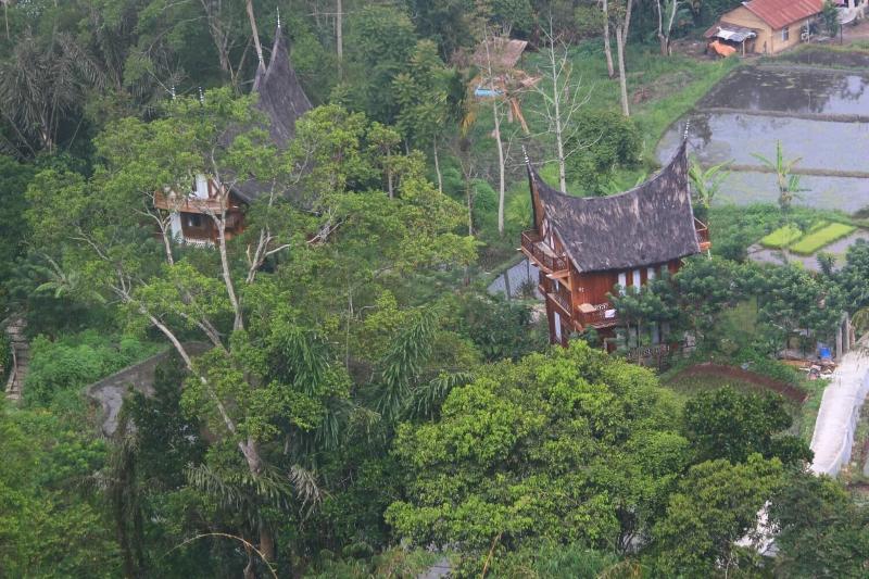 Padi Ecolodge image