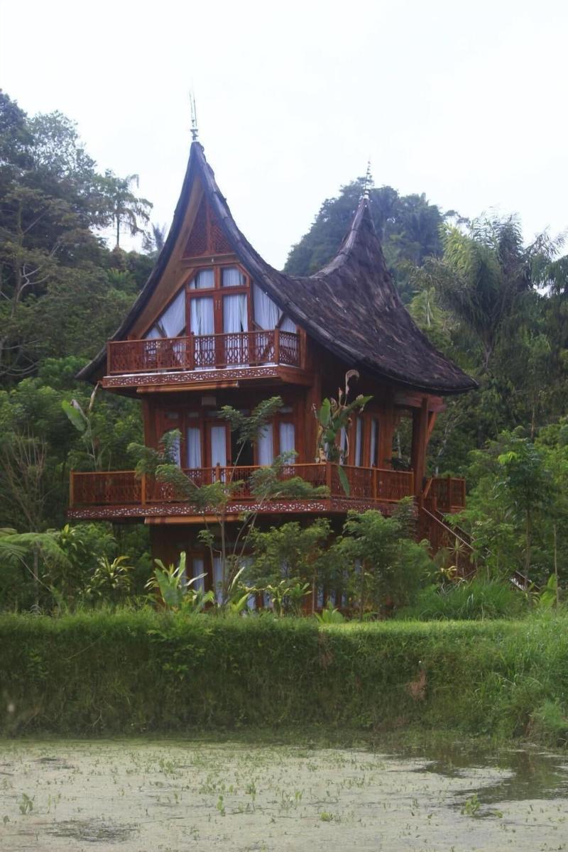 Padi Ecolodge image