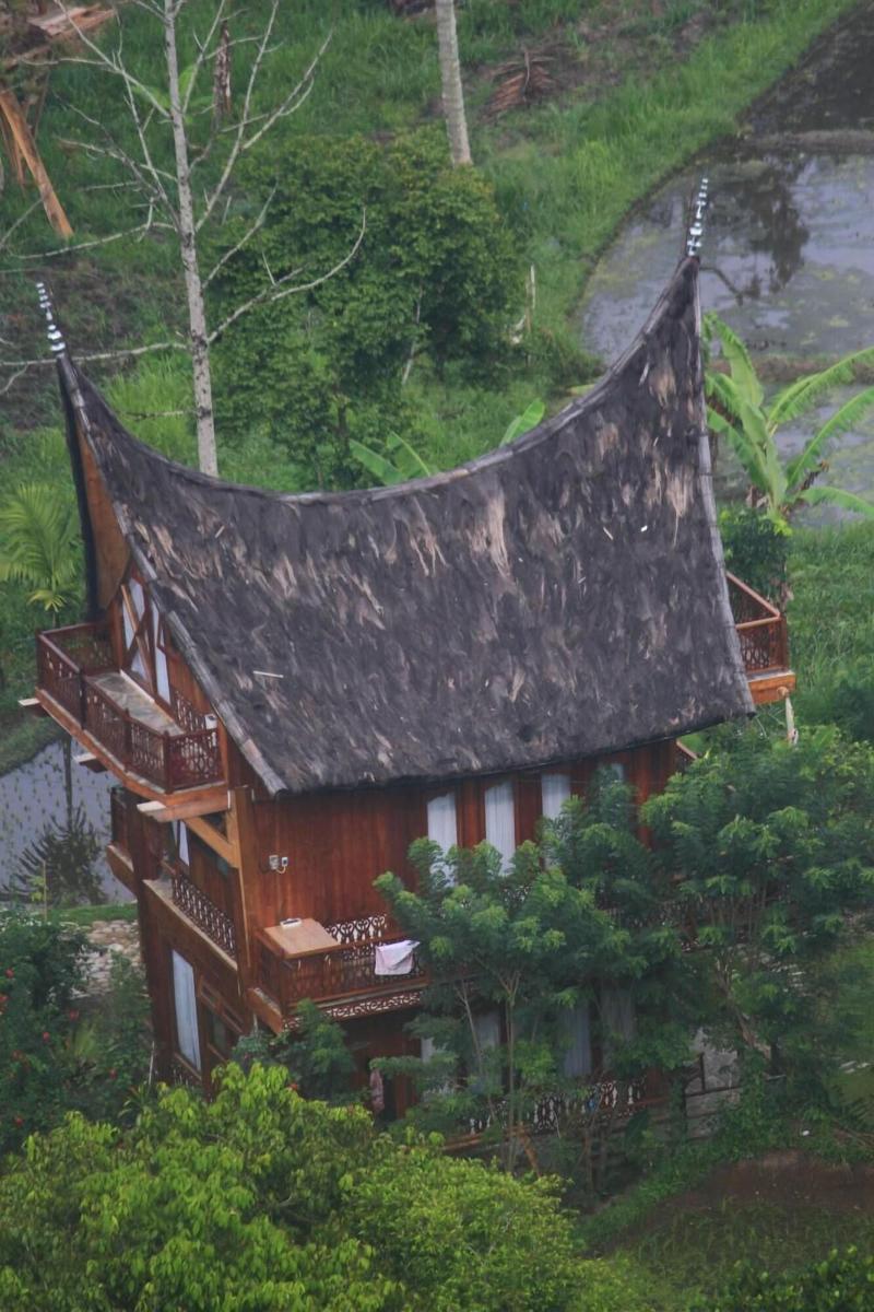 Padi Ecolodge image