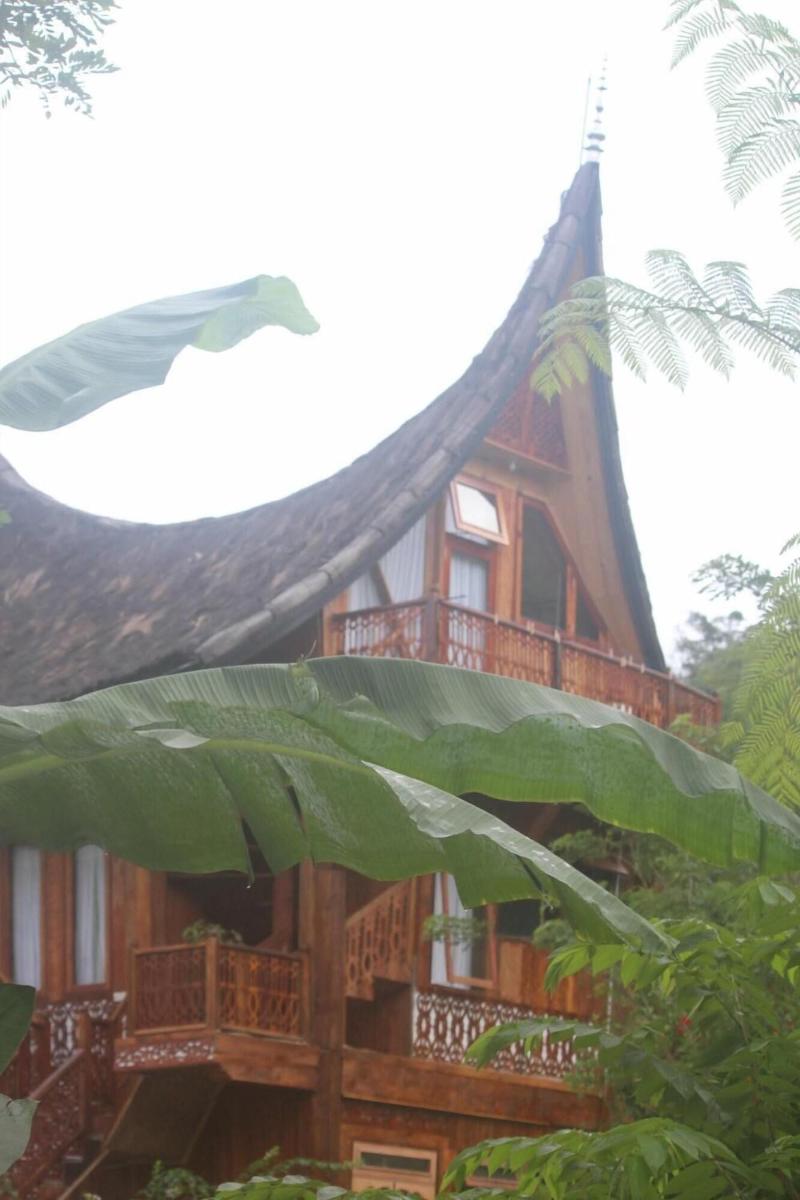 Padi Ecolodge image