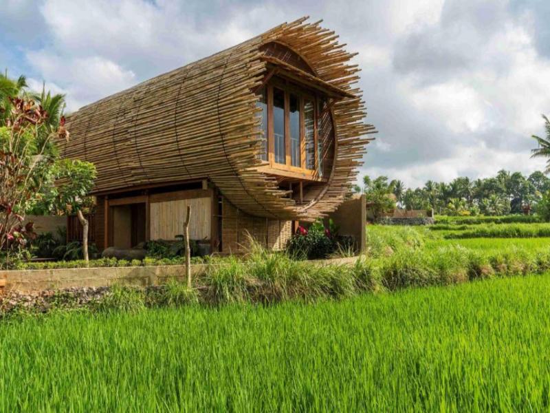 Beehouse Dijiwa Ubud image