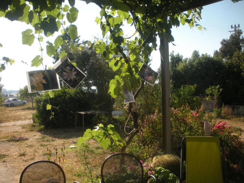 Azienda Bellelli Turismo Rurale image