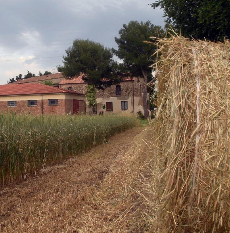 Azienda Bellelli Turismo Rurale image