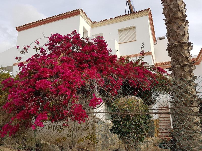 Hostal Manolo image