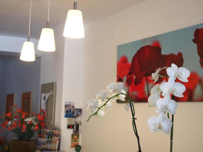 Hostal Tres Soles image