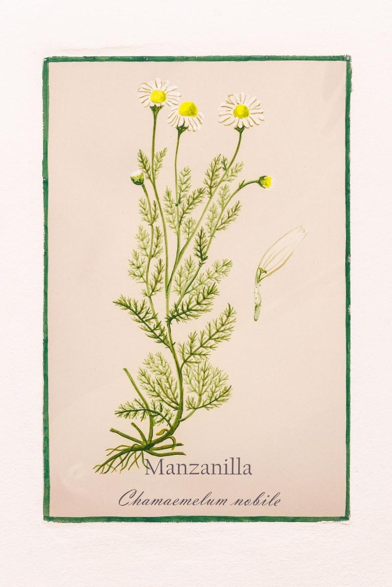 Arte De Cozina image