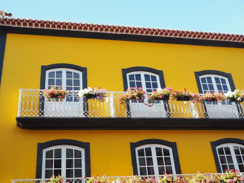Globo Happy Hostel image