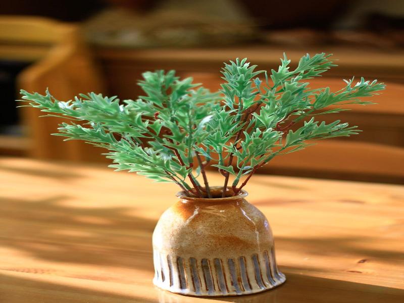 Pottery Flower B&B image