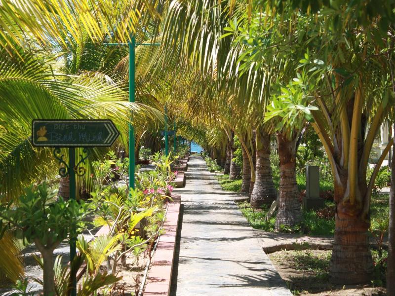 Con Ga Vang Resort image