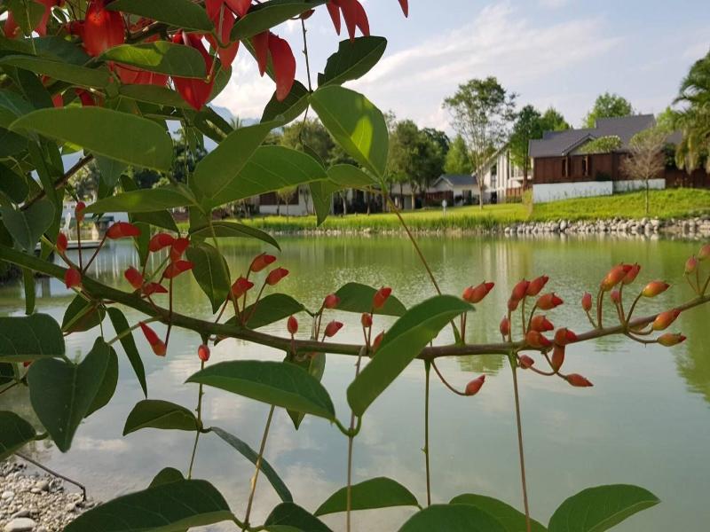 Yun Shan Shui Yi Cui Hsuan Resort image