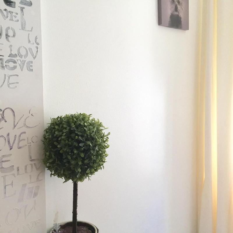 Linne Hostel image