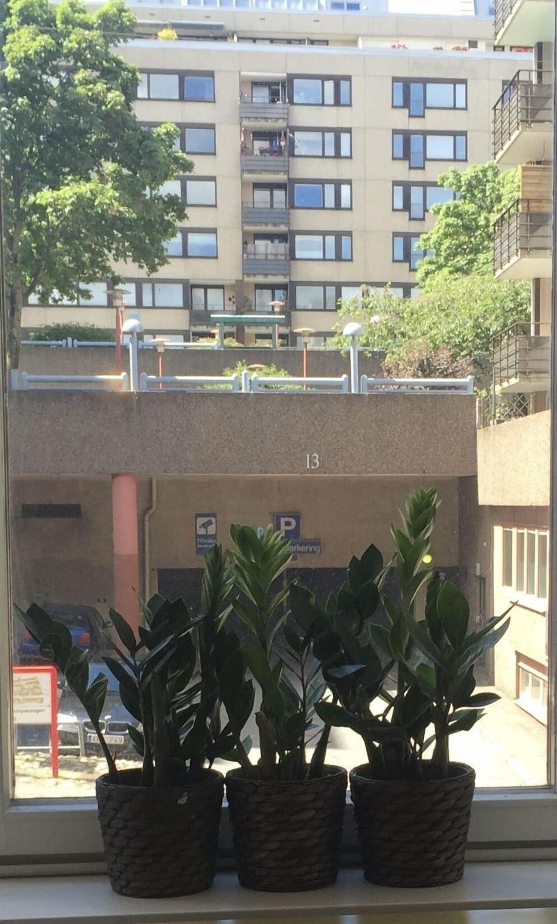 Linne Hostel image