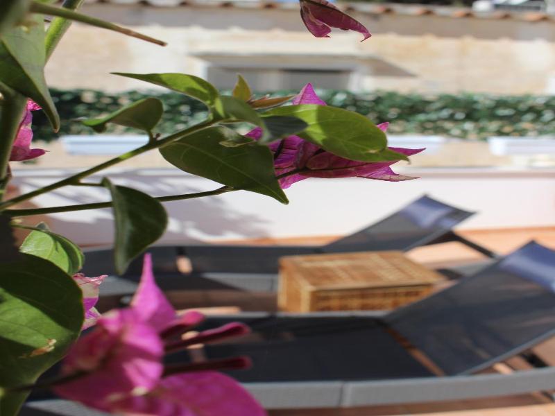 Villa Pollio Guest House image