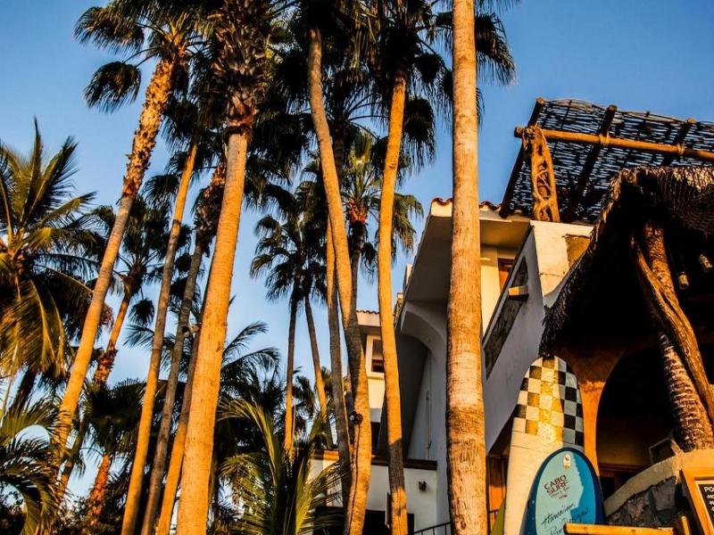 Cabo Surf Hotel & Spa image